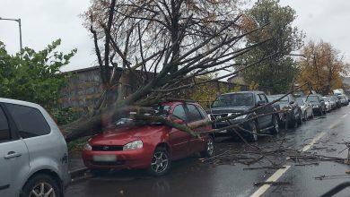 Фото - Пришла и «нахулиганила». Петербургская погода доставила проблем горожанам