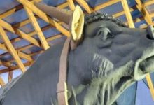 Фото - Скульптуры быков вернутся на павильон «Мясная промышленность» на ВДНХ